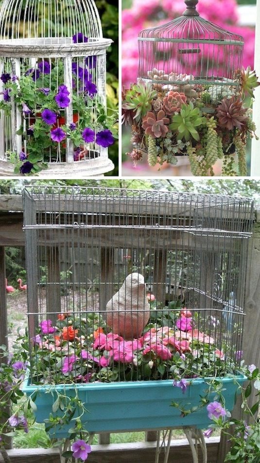 garden container creative planters bird cage birdcage diy planter gardening listotic cottage cages gardens plants enchanted brides adelaide market decor